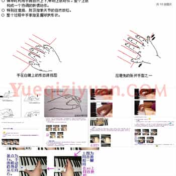 电子琴资料 指法与手型图解