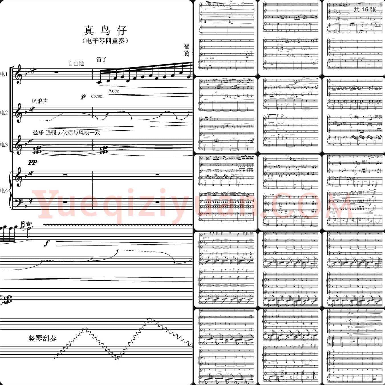 真鸟仔(电子琴四重奏)